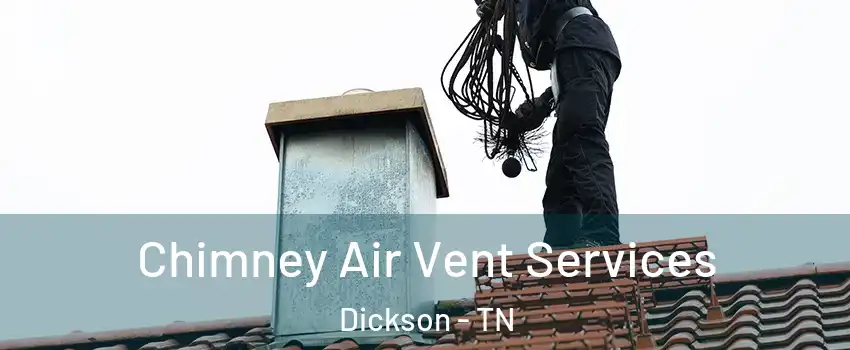  Chimney Air Vent Services Dickson - TN