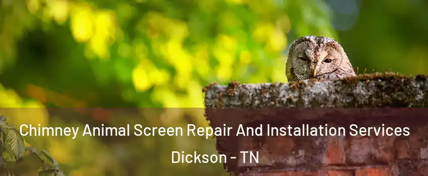  Chimney Animal Screen Repair And Installation Services Dickson - TN