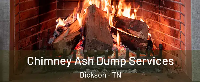  Chimney Ash Dump Services Dickson - TN