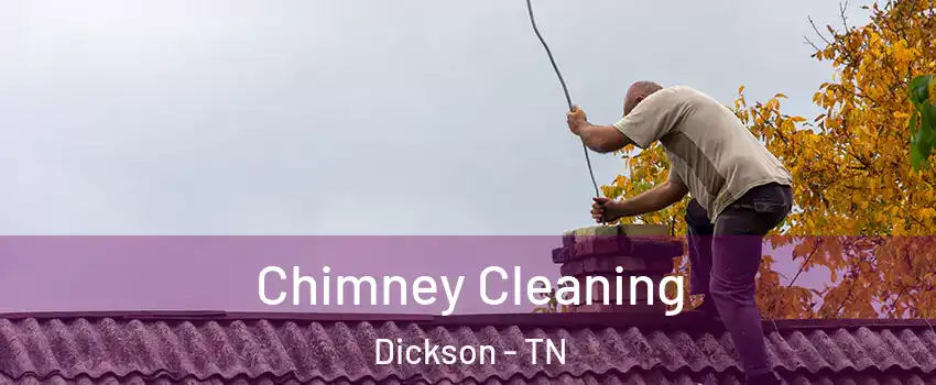  Chimney Cleaning Dickson - TN