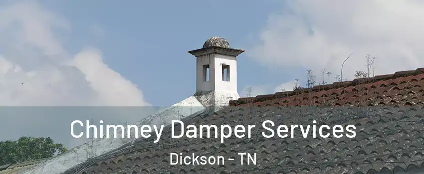  Chimney Damper Services Dickson - TN
