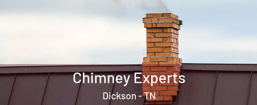  Chimney Experts Dickson - TN