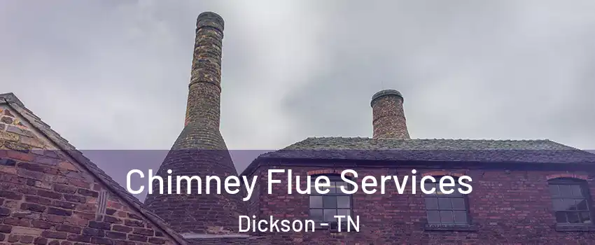  Chimney Flue Services Dickson - TN