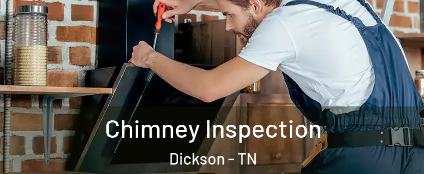  Chimney Inspection Dickson - TN