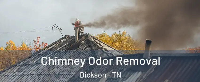  Chimney Odor Removal Dickson - TN