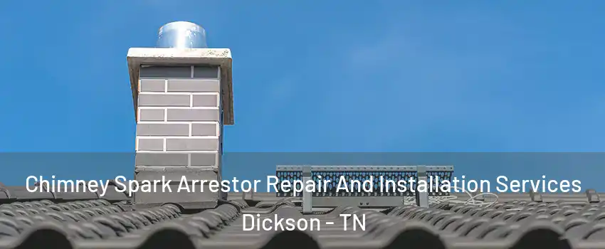  Chimney Spark Arrestor Repair And Installation Services Dickson - TN