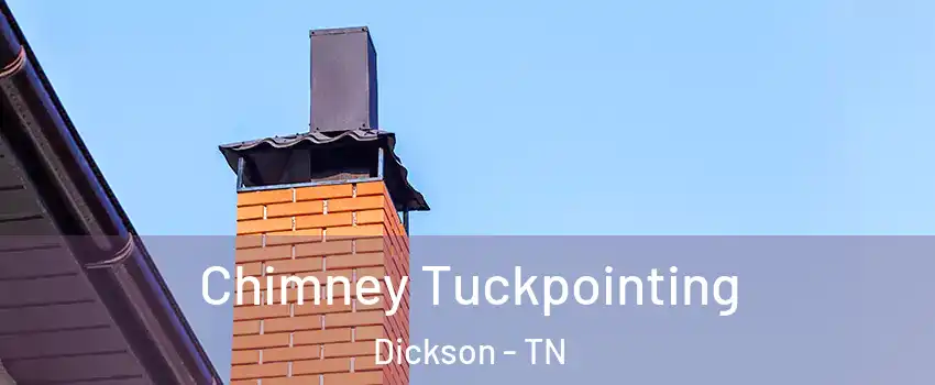  Chimney Tuckpointing Dickson - TN