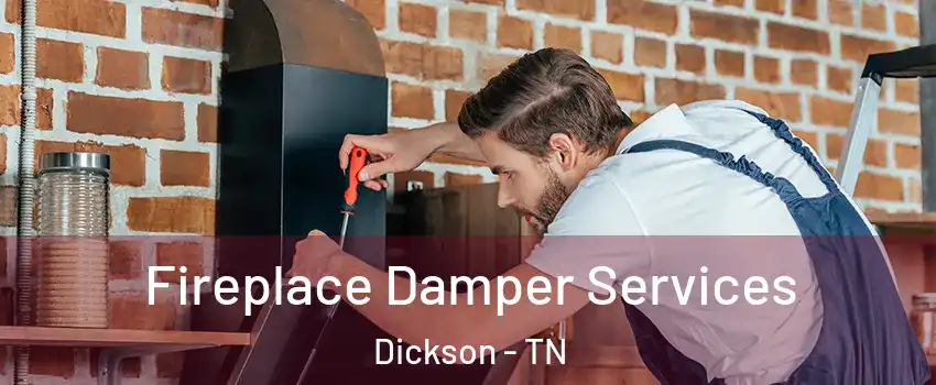  Fireplace Damper Services Dickson - TN