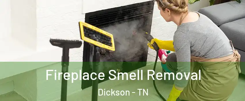  Fireplace Smell Removal Dickson - TN