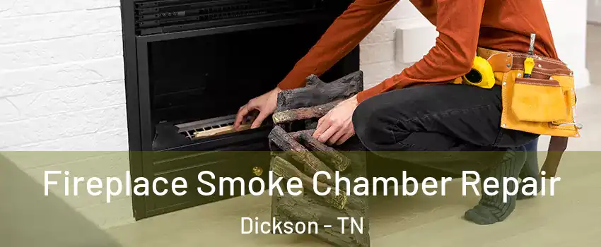  Fireplace Smoke Chamber Repair Dickson - TN