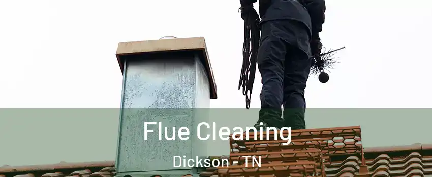 Flue Cleaning Dickson - TN