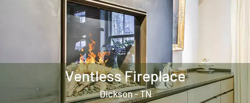  Ventless Fireplace Dickson - TN